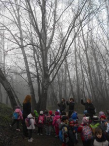 mitjana hivern 019