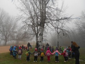 mitjana hivern 022