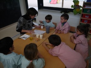 P1110287 - copia