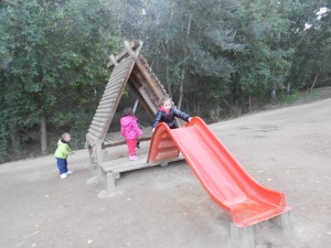 DSCN2861