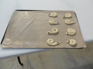 DSCN4245