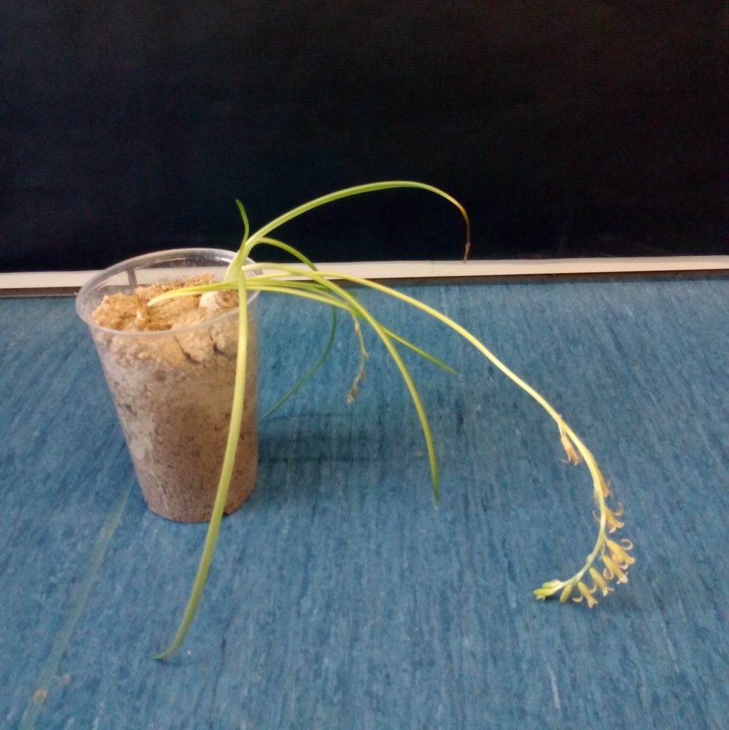 IMG_20170503_131752.11111