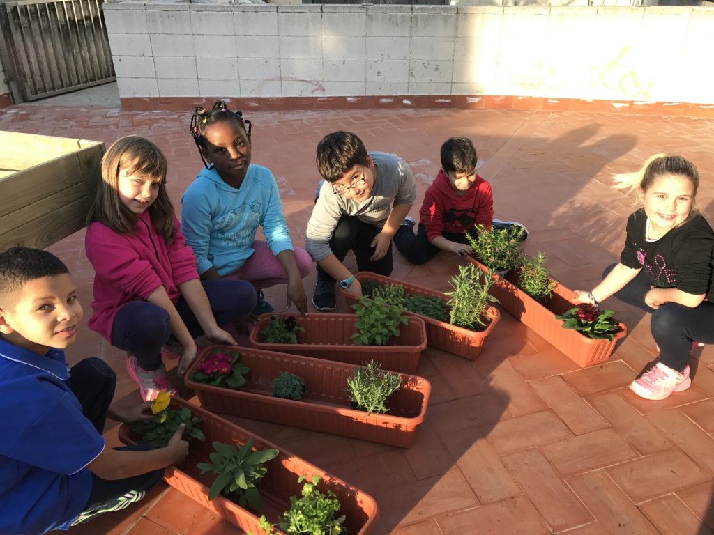 plantes-1