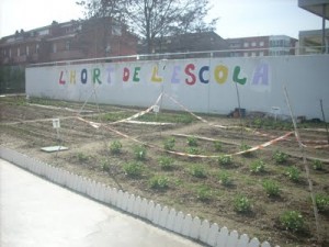 hort1