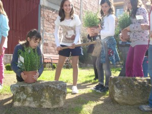 La Montserrat plantant