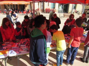 STJORDI2015 034