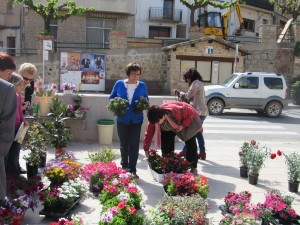 STJORDI2015 049