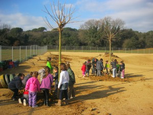 Festa de l'arbre 15/02/2013