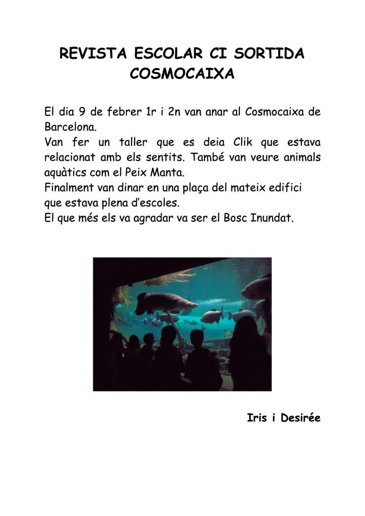 revistaescolarCIsortidacosmocaixa