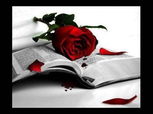 roses-i-llibre.jpg