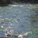 IMG_7000