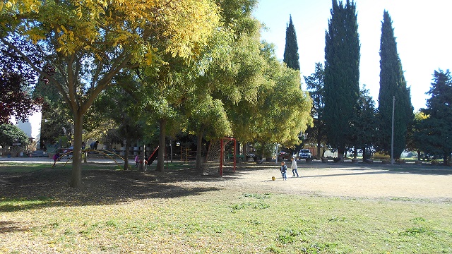 DSCN0072