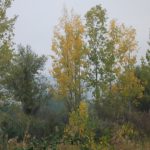 dscf1353