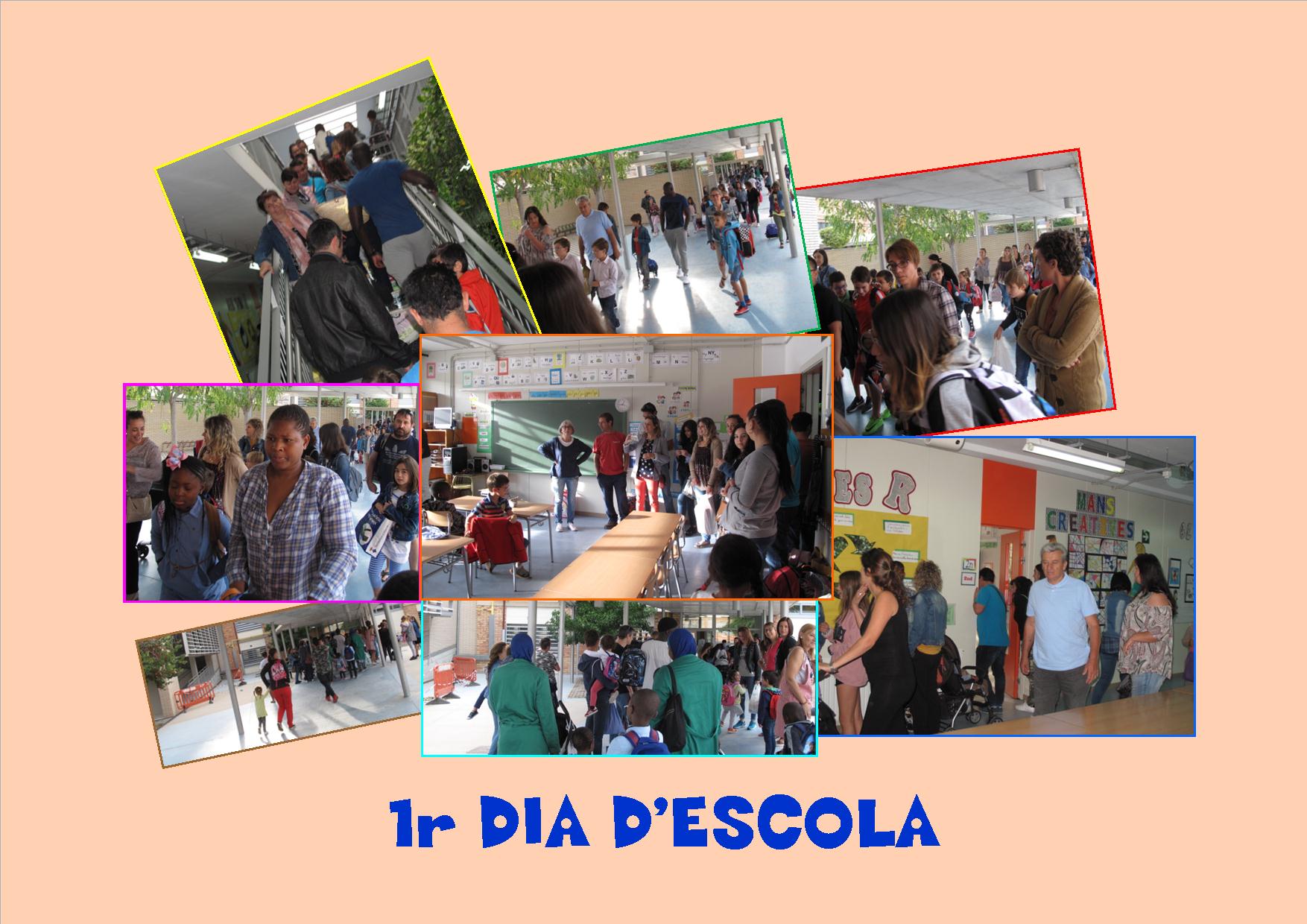 1rdia