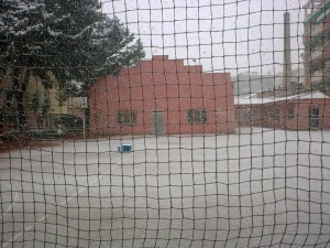 08032010_001