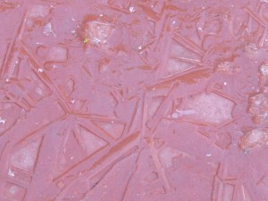 dscf5663