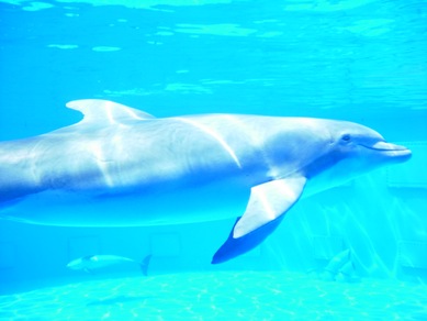 zoo21