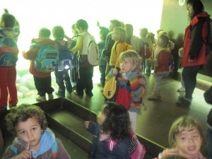 6-novembre-09-100-50