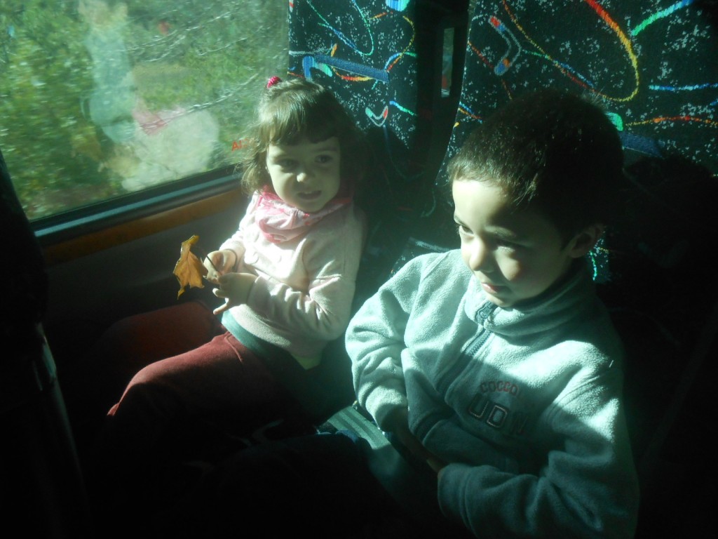 DSCN0934