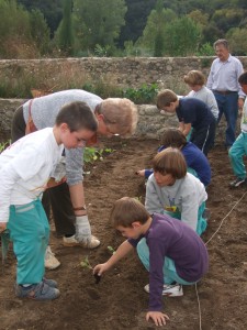 Plantant: porros, alls, maduixers, bròquils, cols, enciams i cebes