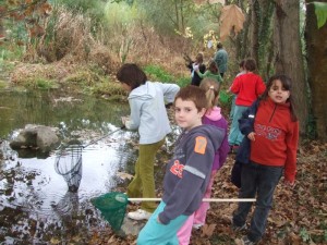 3r-sortida-invertebrats-019b