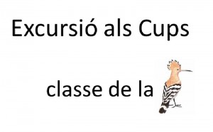 New_3_cuups