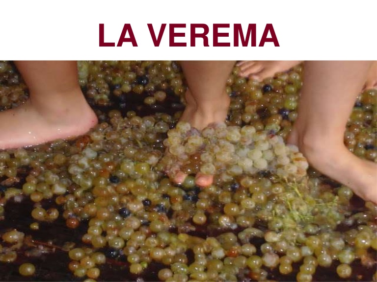 powerpointverema-121001075732-phpapp02-thumbnail-4