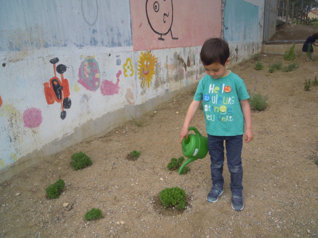 DSCN5618