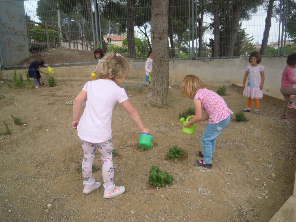 DSCN5620