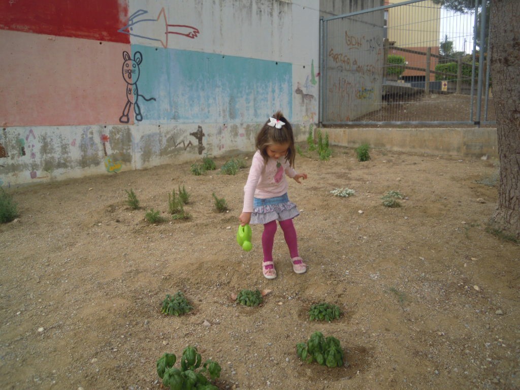 DSCN5621