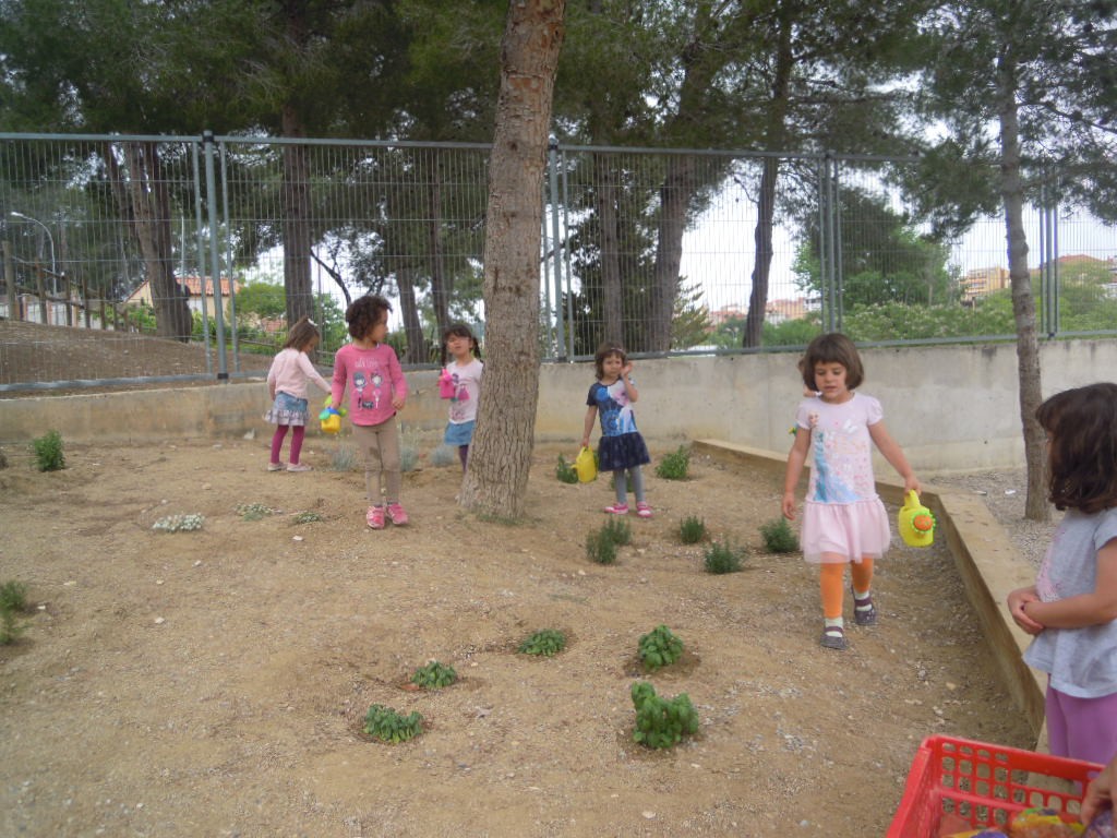 DSCN5622