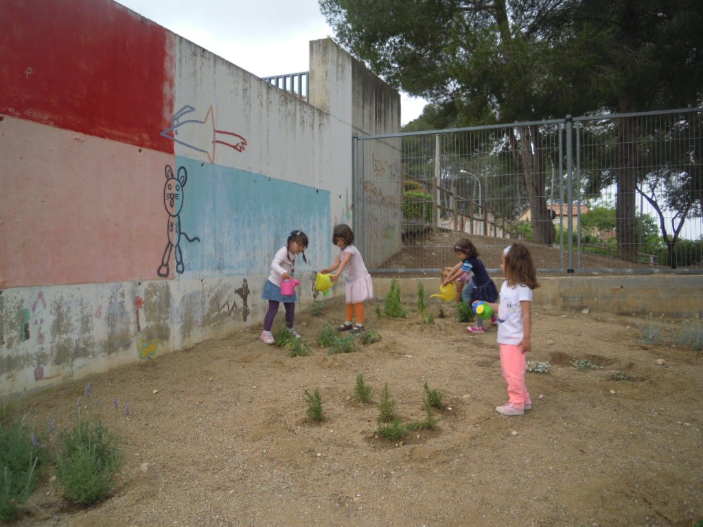 DSCN5623