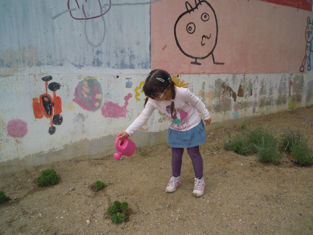 DSCN5624