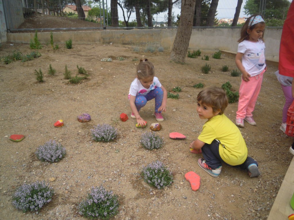 DSCN5626
