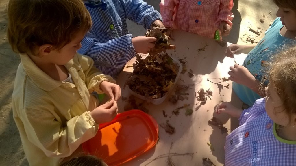 WP_20171017_15_12_32_Pro