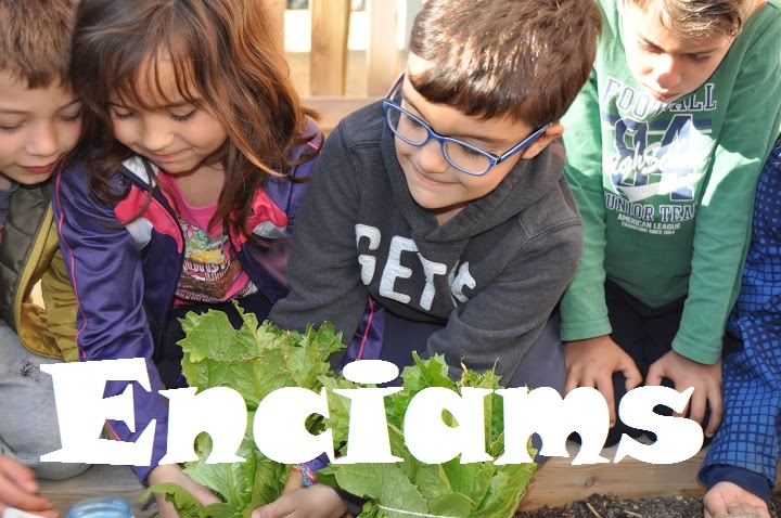 enciams