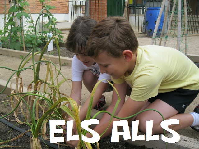 alls