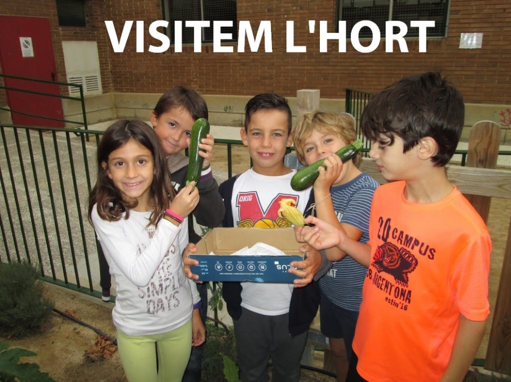 hort
