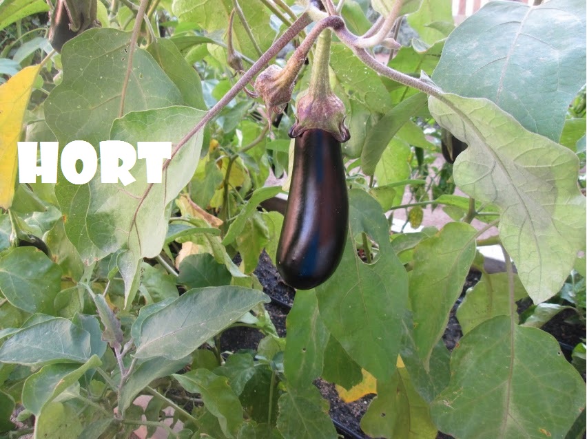 es