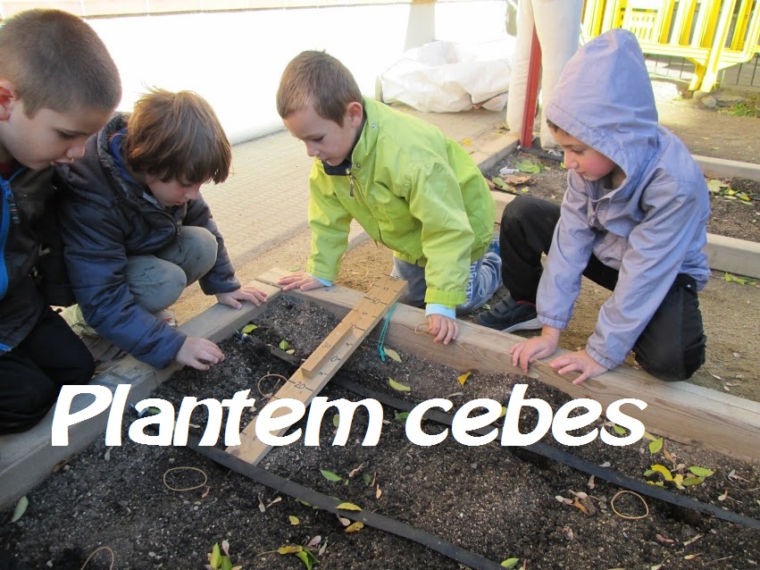 cebes