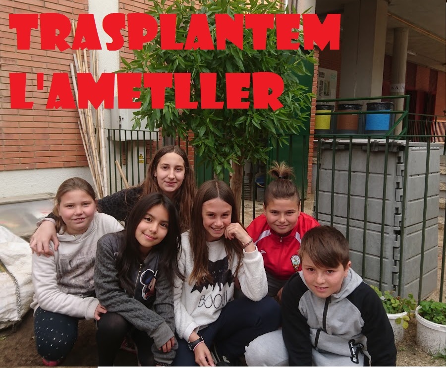 ametller