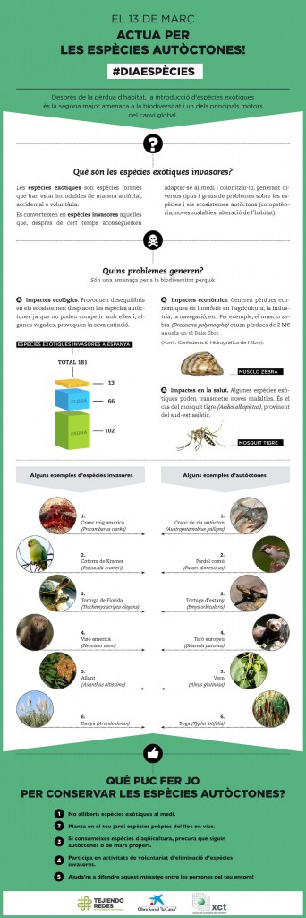 INFOGRAFIAv3_CAT_lq