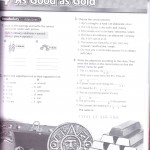 real advance wkbook_0001