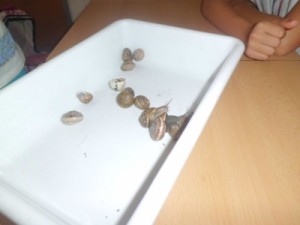 CIMG0011_400x300