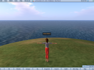 OpenSim01