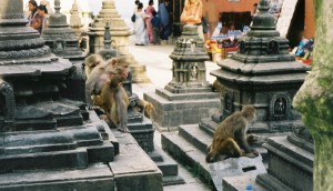 És conegut popularment com el Temple dels micos, doncs hi viuen molts a la zona.
