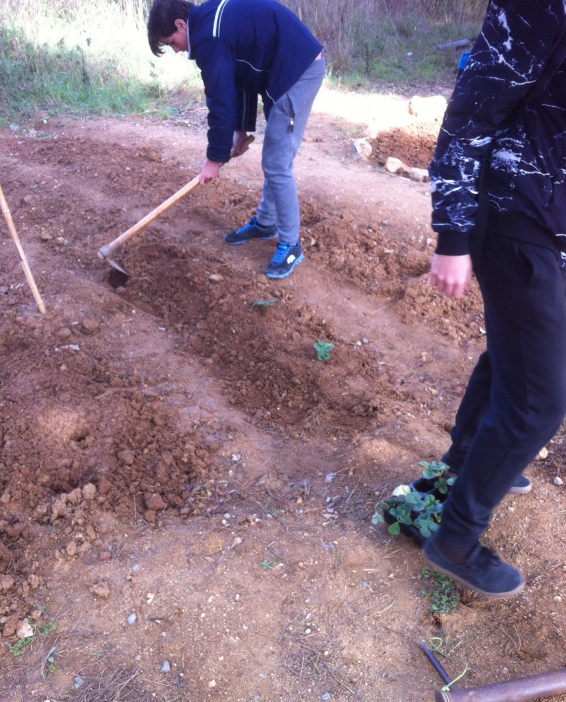 image (1)