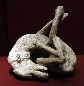 Perro_Vesonius_Primus