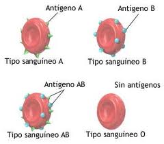 GRUP SANGUINI