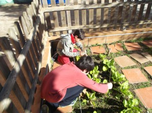 fotos 018